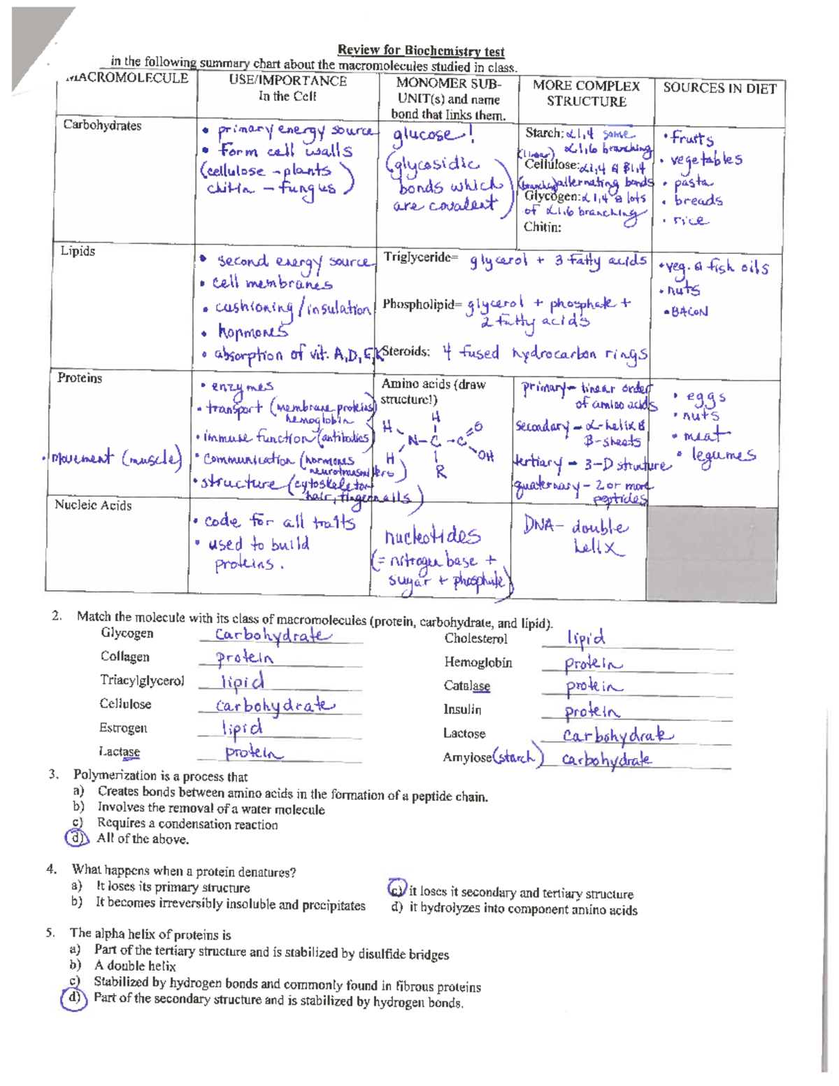 bio sol review 2 experiments answers