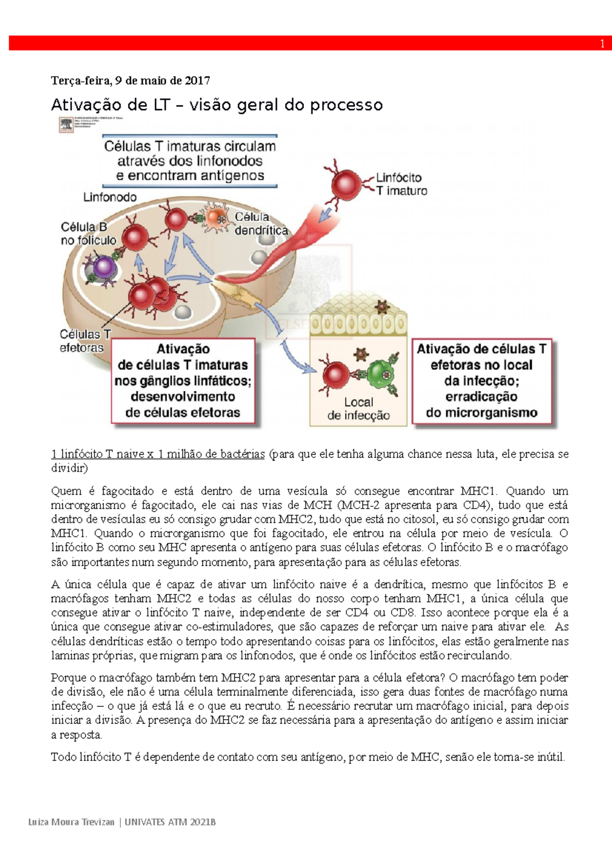 Ativação Dos Linfócitos T - ATIVAÇÃO DOS LINFÓCITOS T 1 Terça-feira, 9 ...