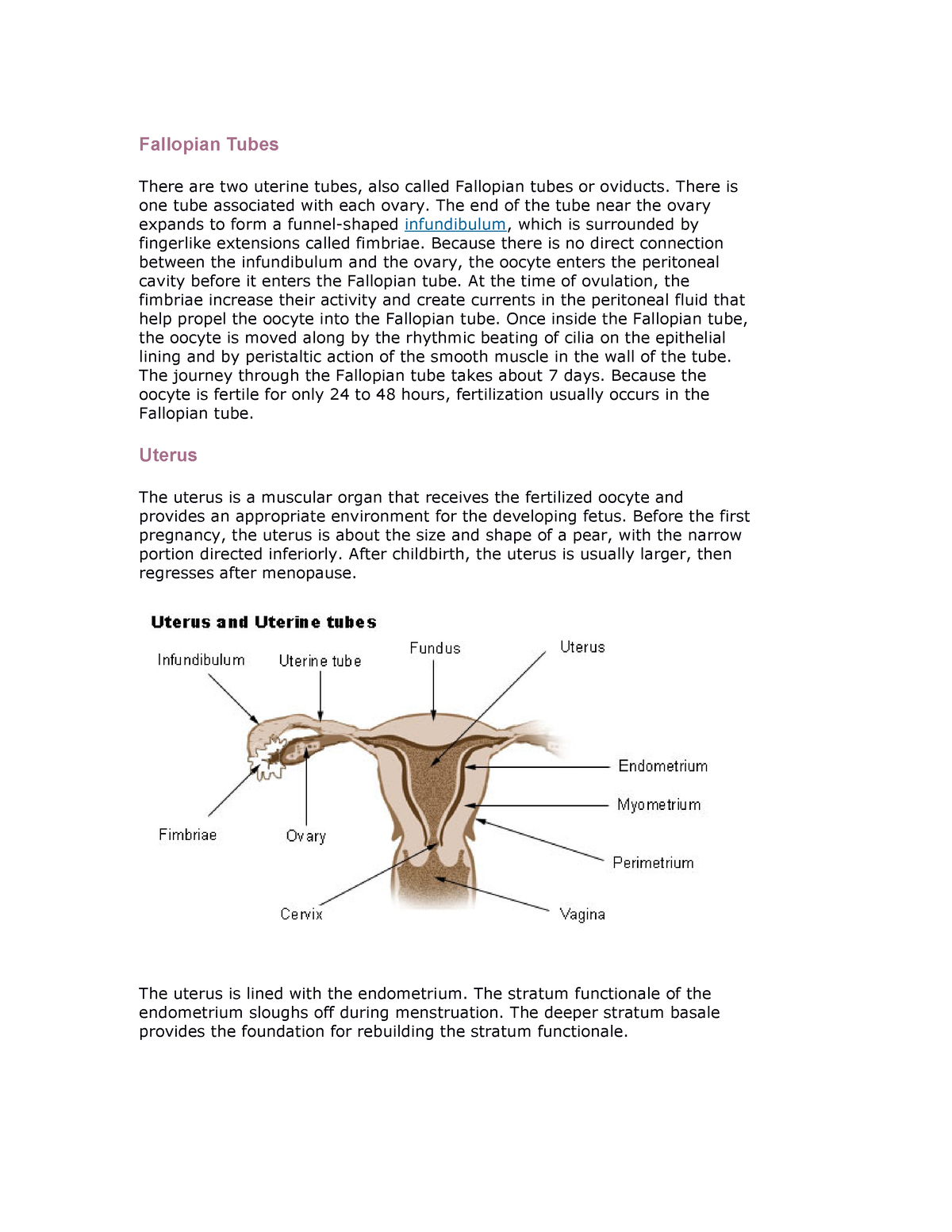 Anatomy FGT - Fallopian Tubes There are two uterine tubes, also called ...