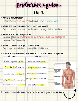 Unit 1 Lecture study guide 2 - Distinguish between hormones, autocrines ...