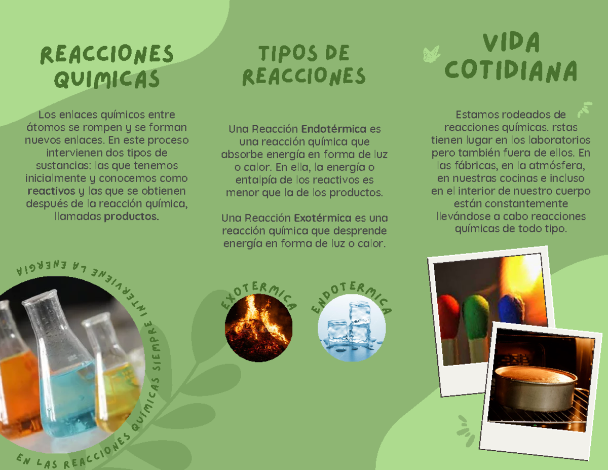 Tríptico estados de la materia - VIDA COTIDIANA TIPOS DE REACCIONES