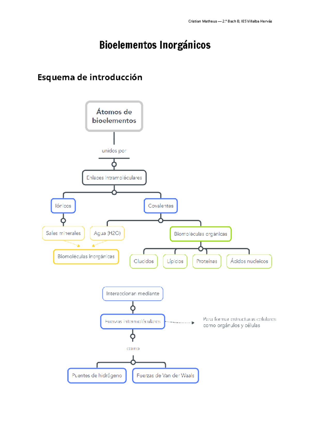 Bioelementos Inorgánicos apuntes - Cristian Matheus — 2.º Bach B, IES ...