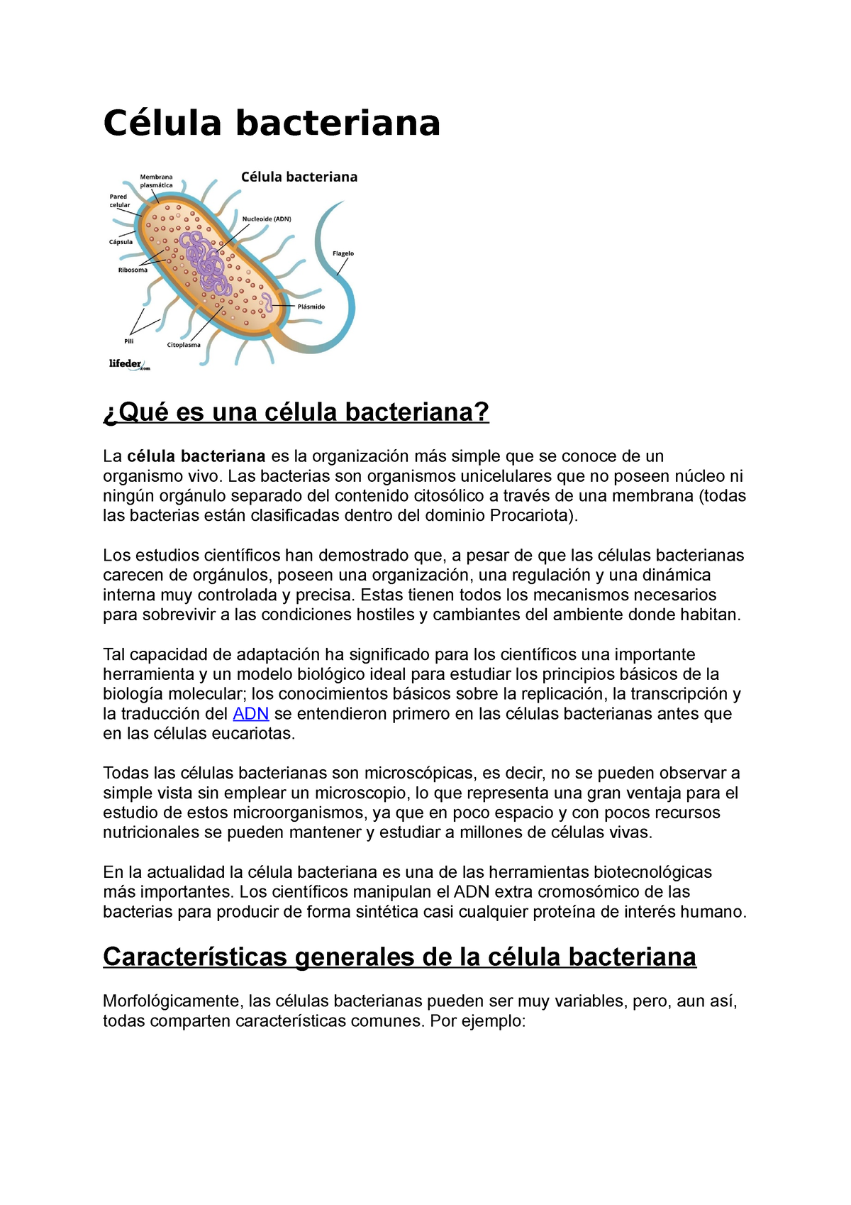 Tema 2. Célula Y Genética Bacteriana - Célula Bacteriana ¿Qué Es Una ...