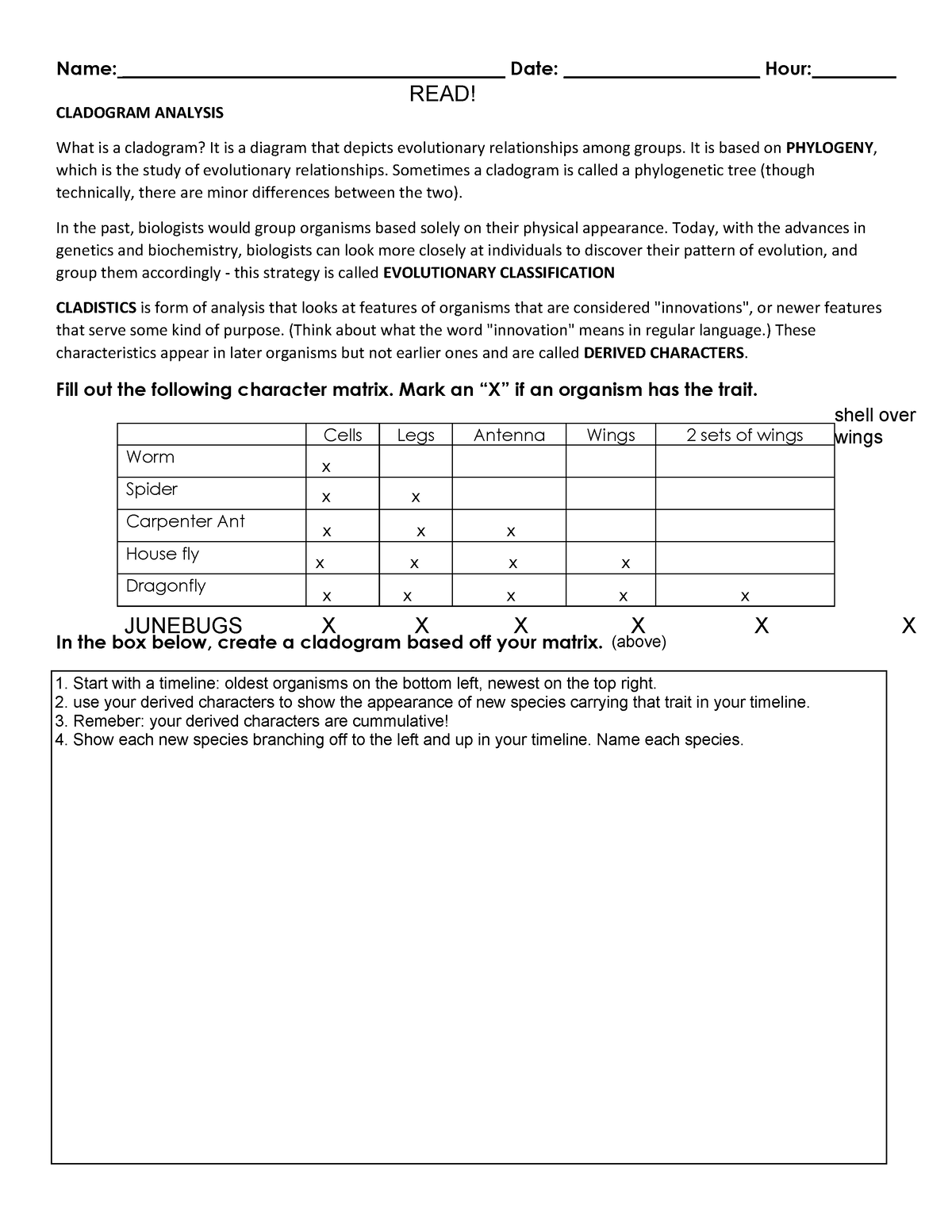 Cladogram Analysis And Construction Worksheet Answer Key