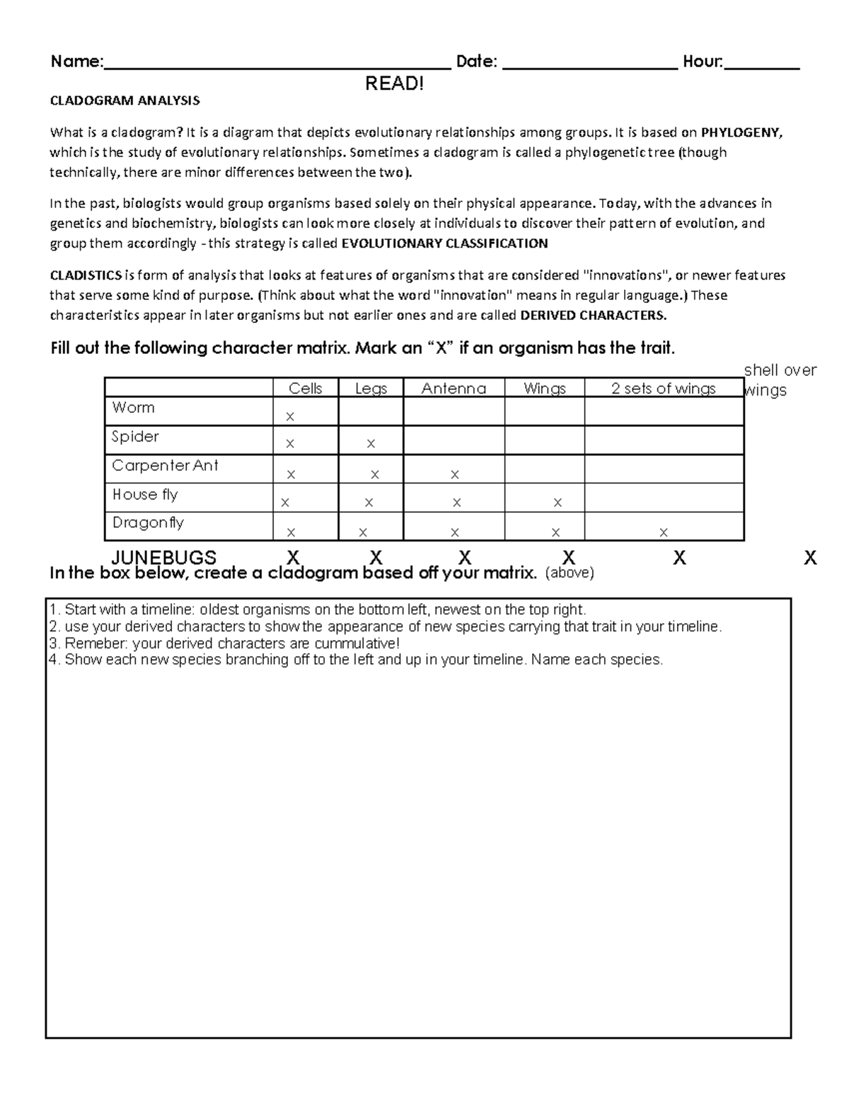 Cladogram Worksheet Practice KEY Name Date Studocu