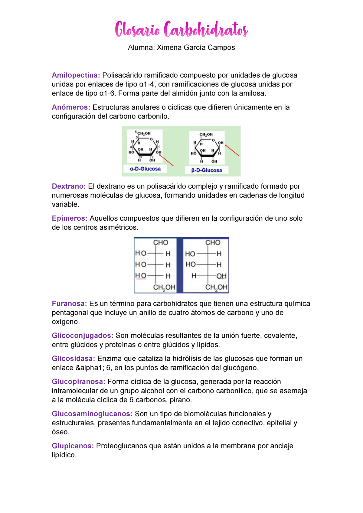 Carbohidratos Glosario De Conceptos Fundamentales - Alumna: Ximena ...