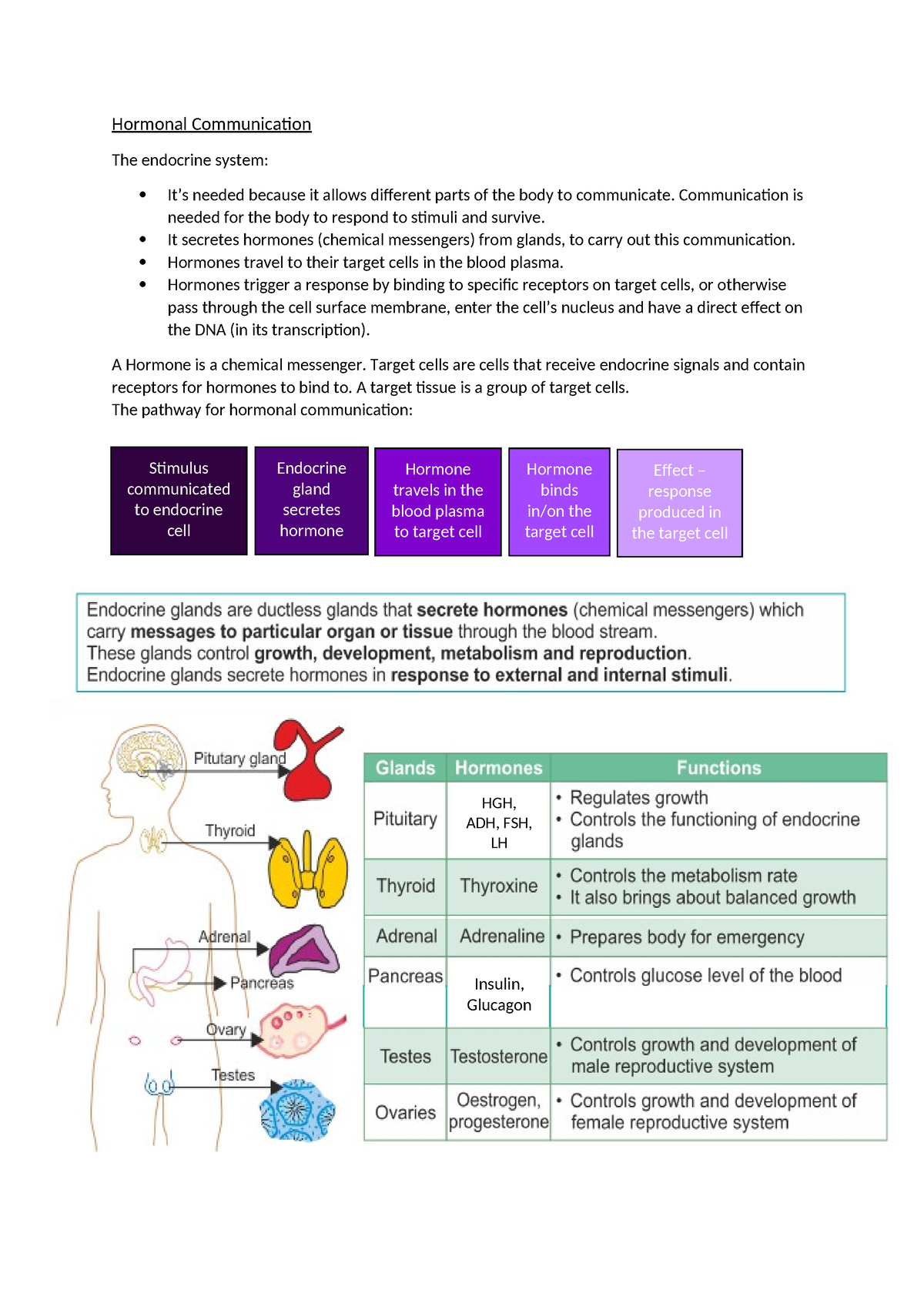 7. Hormonal Communication - Hormonal Communication The endocrine system ...