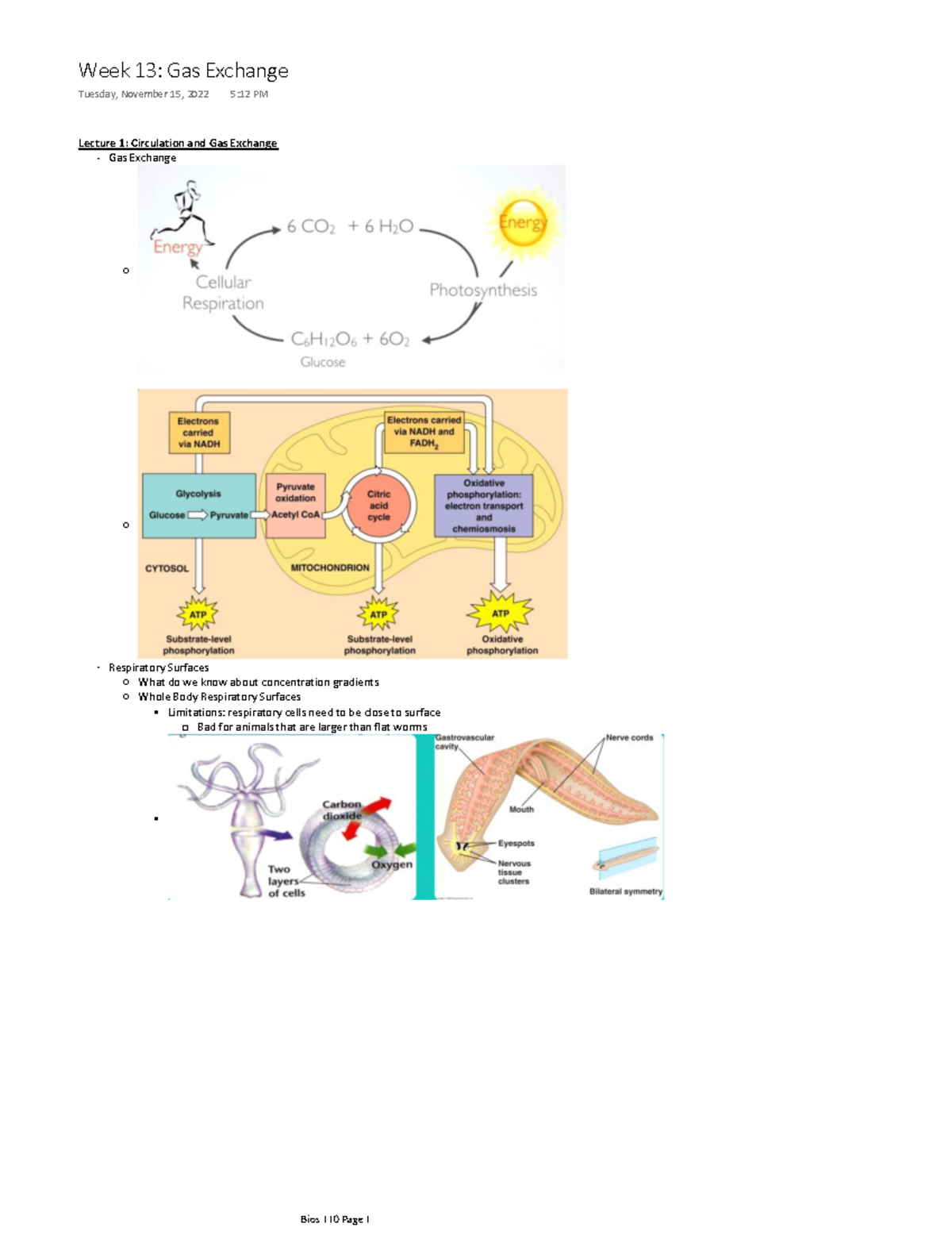 Bios 110 Week 13 - Bios 110 Cells and Organism Notes - Lecture 1 ...