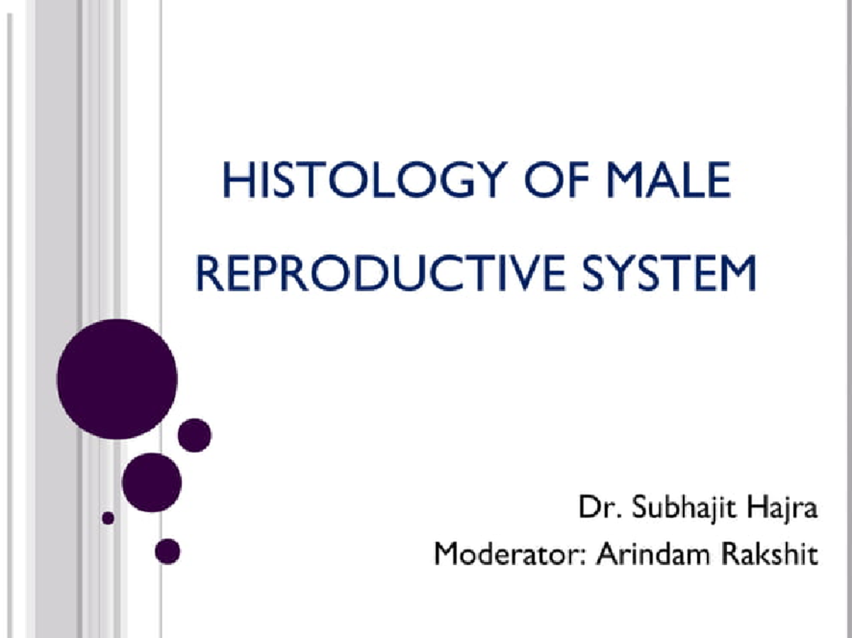 Testis Histology - Dr. G - anatomy - Studocu