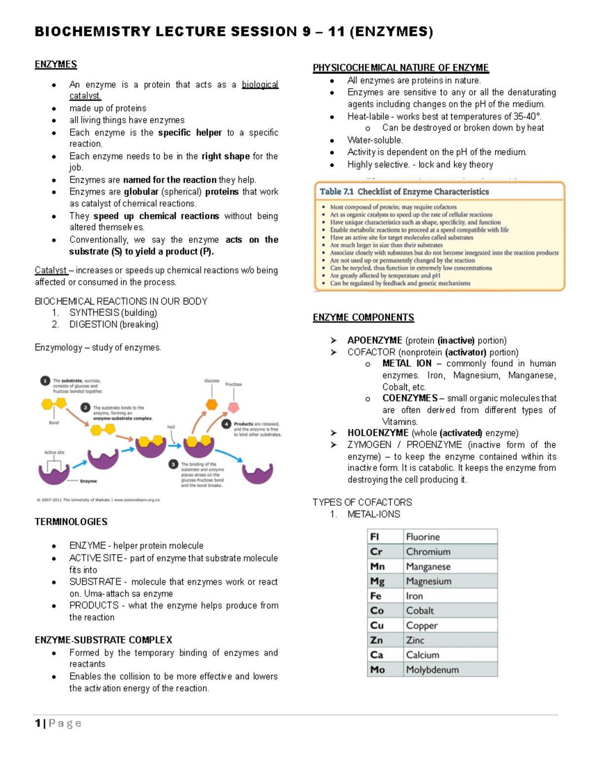 Enzymes-9-11 - notes for biochem - ENZYMES An enzyme is a protein that ...