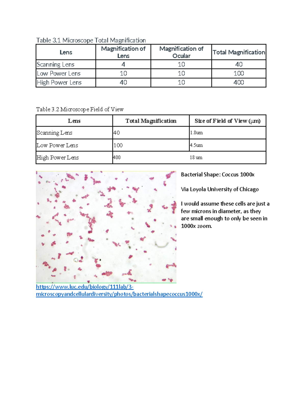 Microscopes & Cells Lab Unit 3 Table 3 Microscope Total Magnification