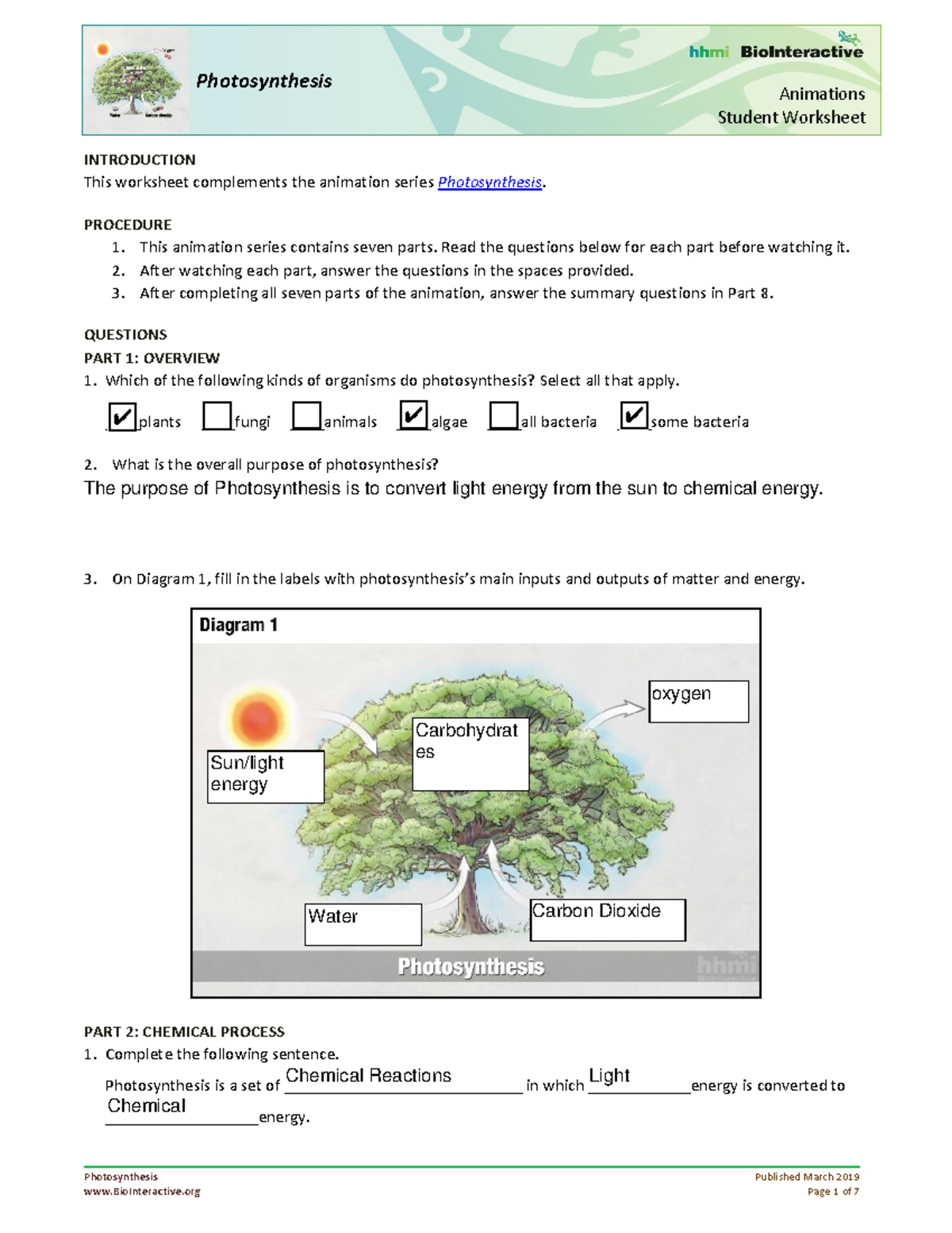 Photosynthesis-Student WS-animation - Photosynthesis Published March ...