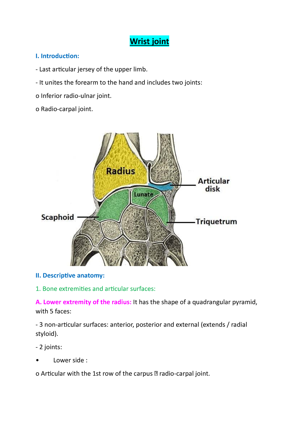 Wrist joint - Introduction: Last articular jersey of the upper limb. It ...