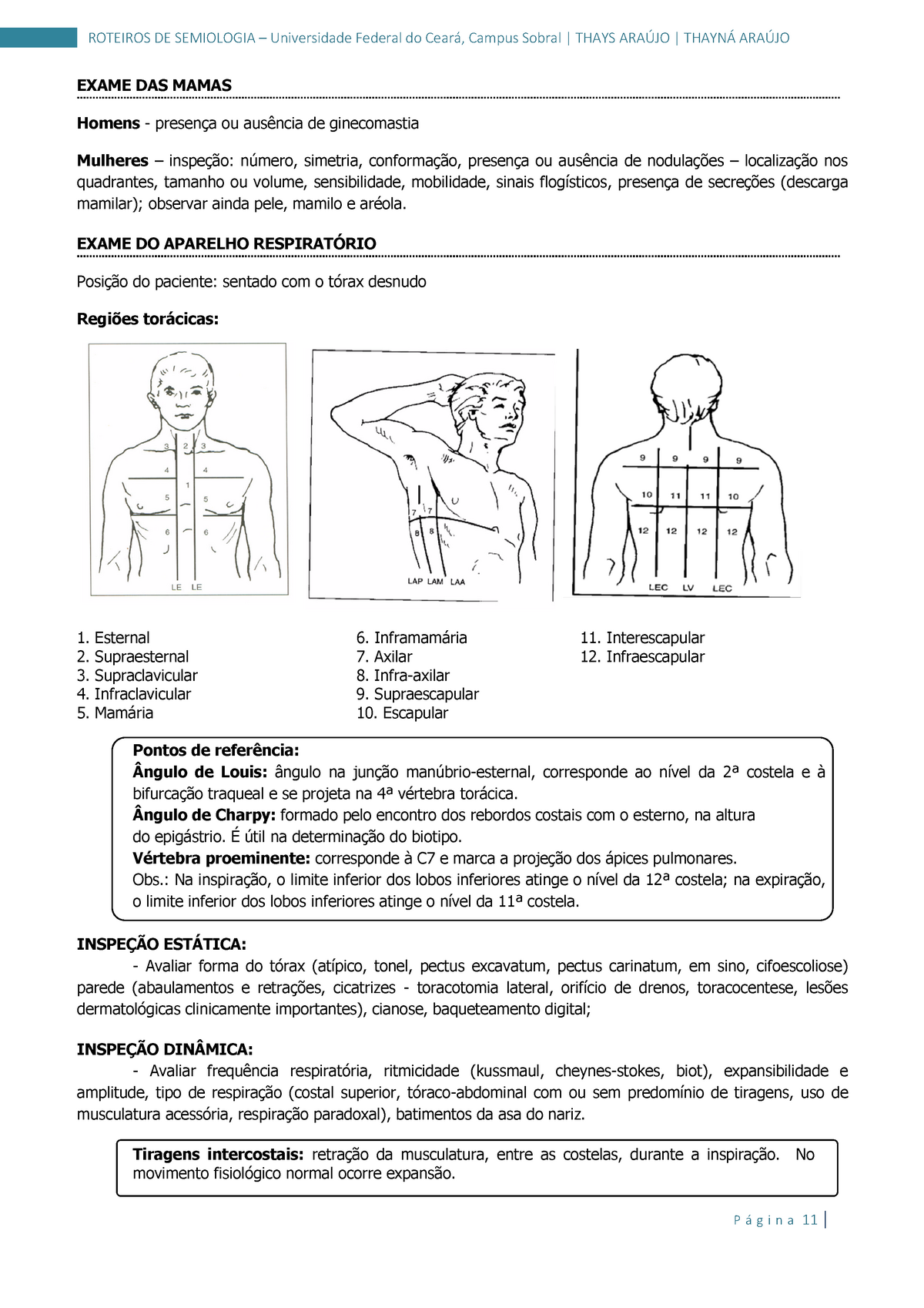 Semiologia 02 roteiro prático de anamnese e exame físico