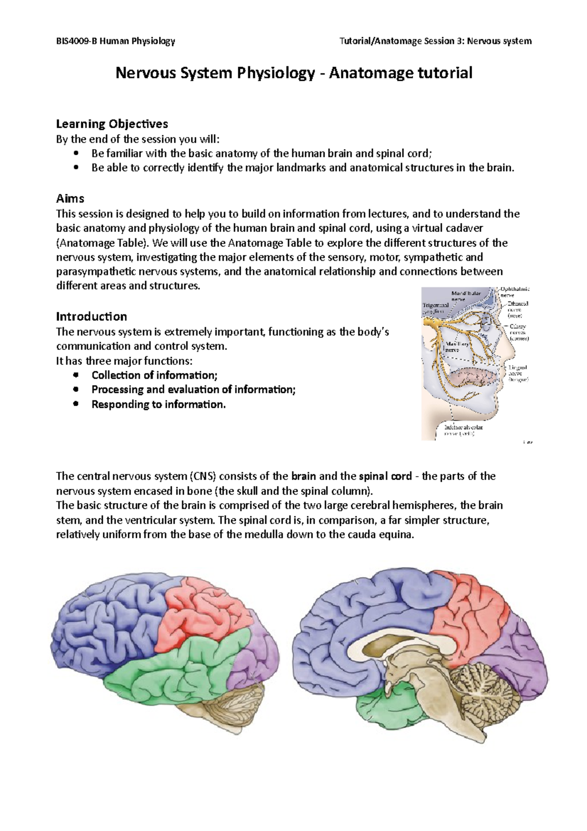 03a Nervous system tutorial (student) 2016-17 - Human Physiology ...