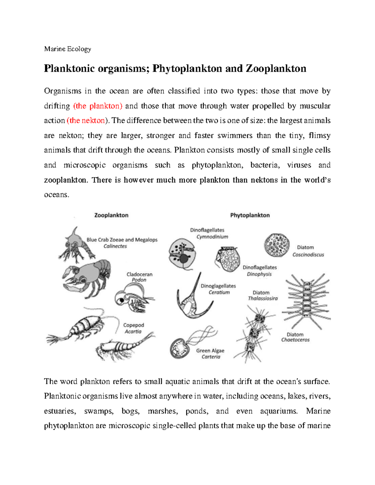 Planktonic organisms; Phytoplankton and Zooplankton Marine Ecology