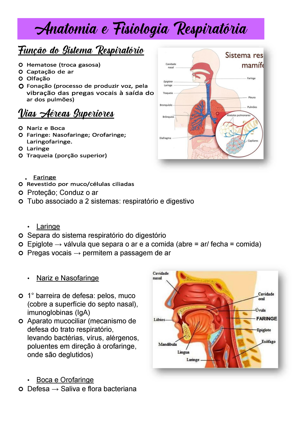 Fisiologia Respiratoria