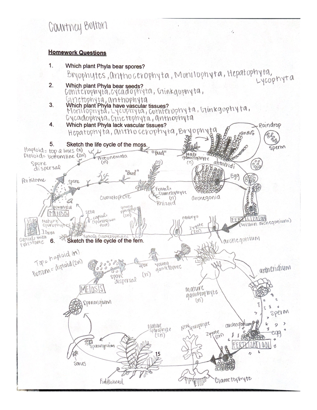 6. Sketch the life cycle of the plasmodial slime mold. 2 - BY 124L ...