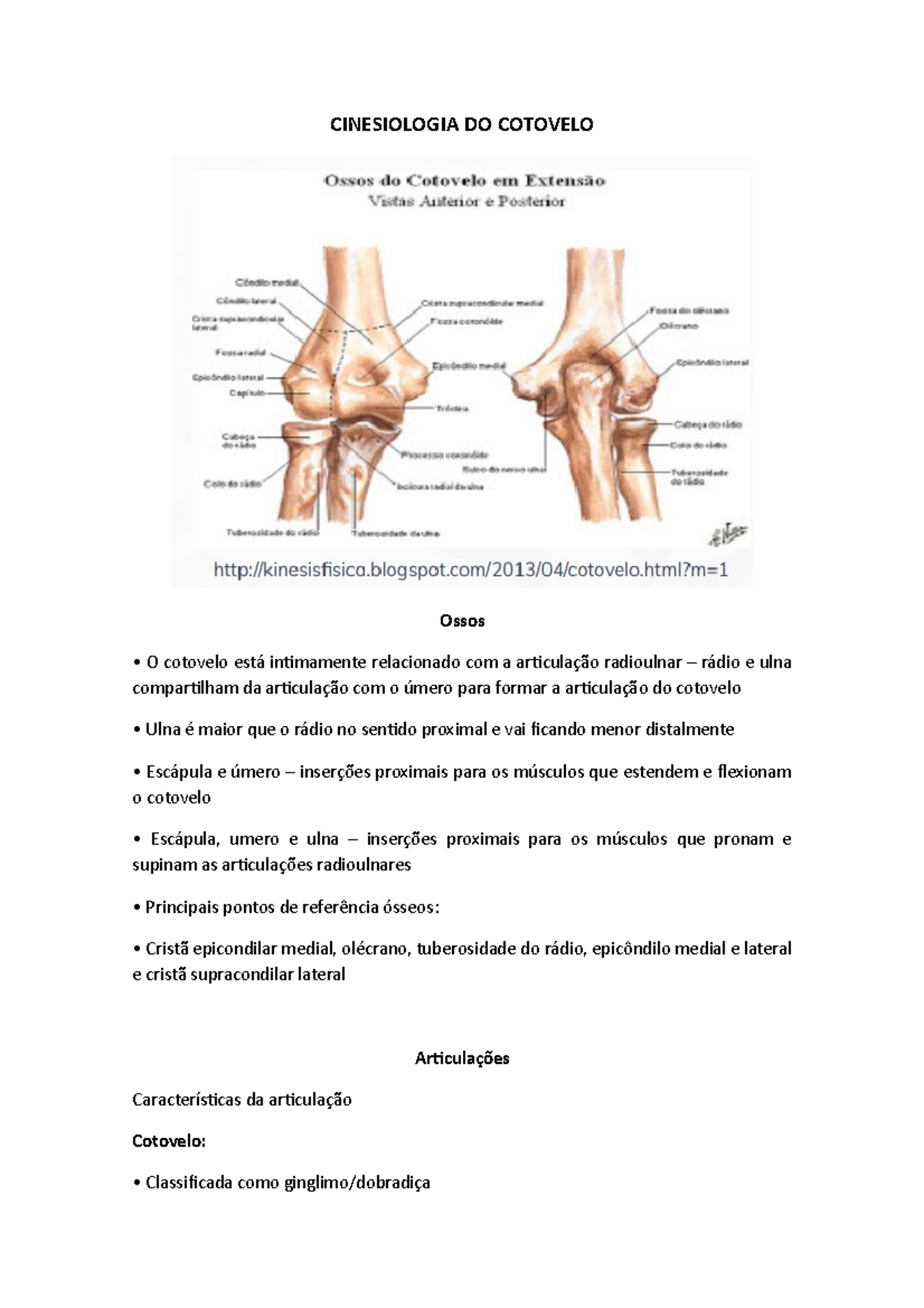 Cinesiologia Do Cotovelo - CINESIOLOGIA DO COTOVELO Ossos O Cotovelo ...