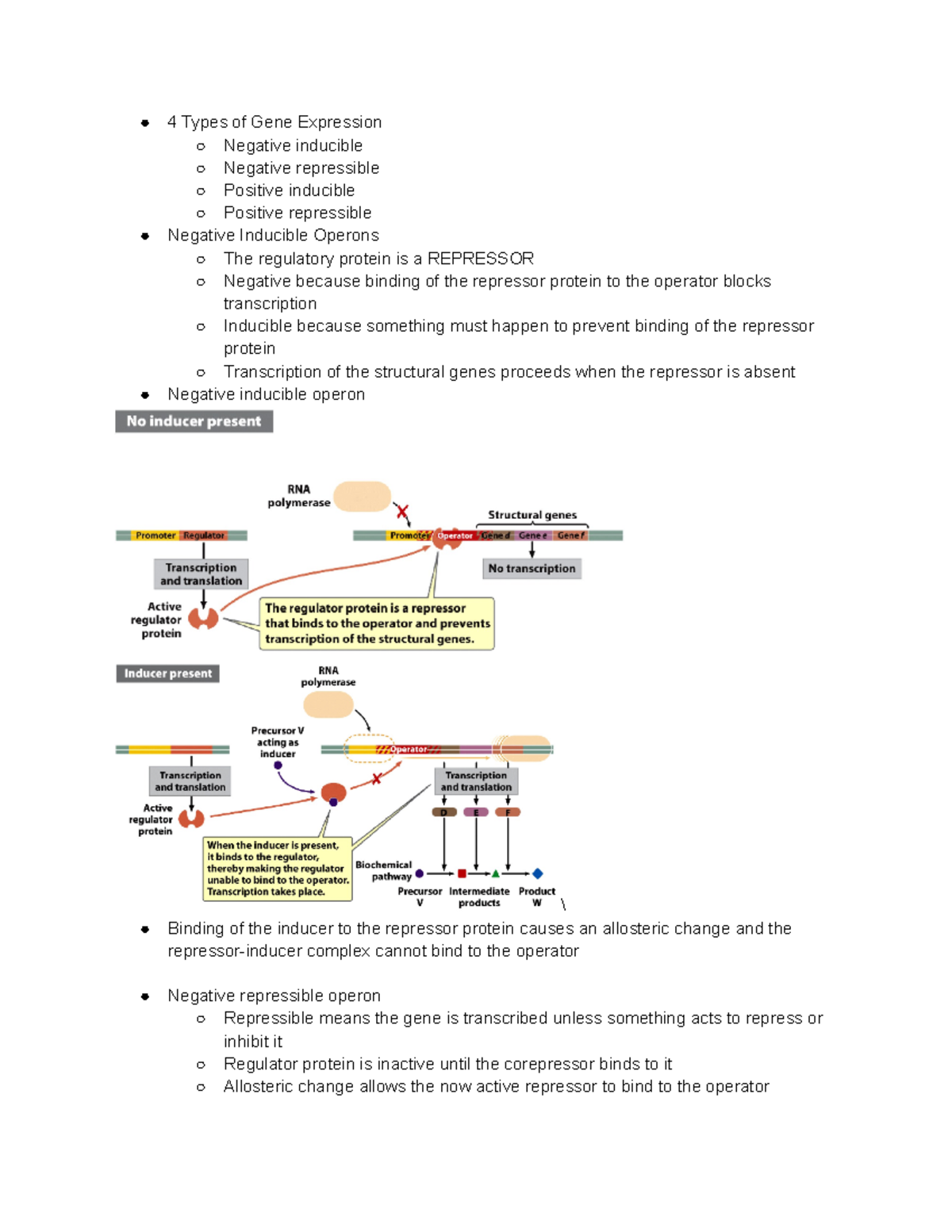 Are You Getting Inducible Operons Wrong? Find Out Now! - 1fvlab2