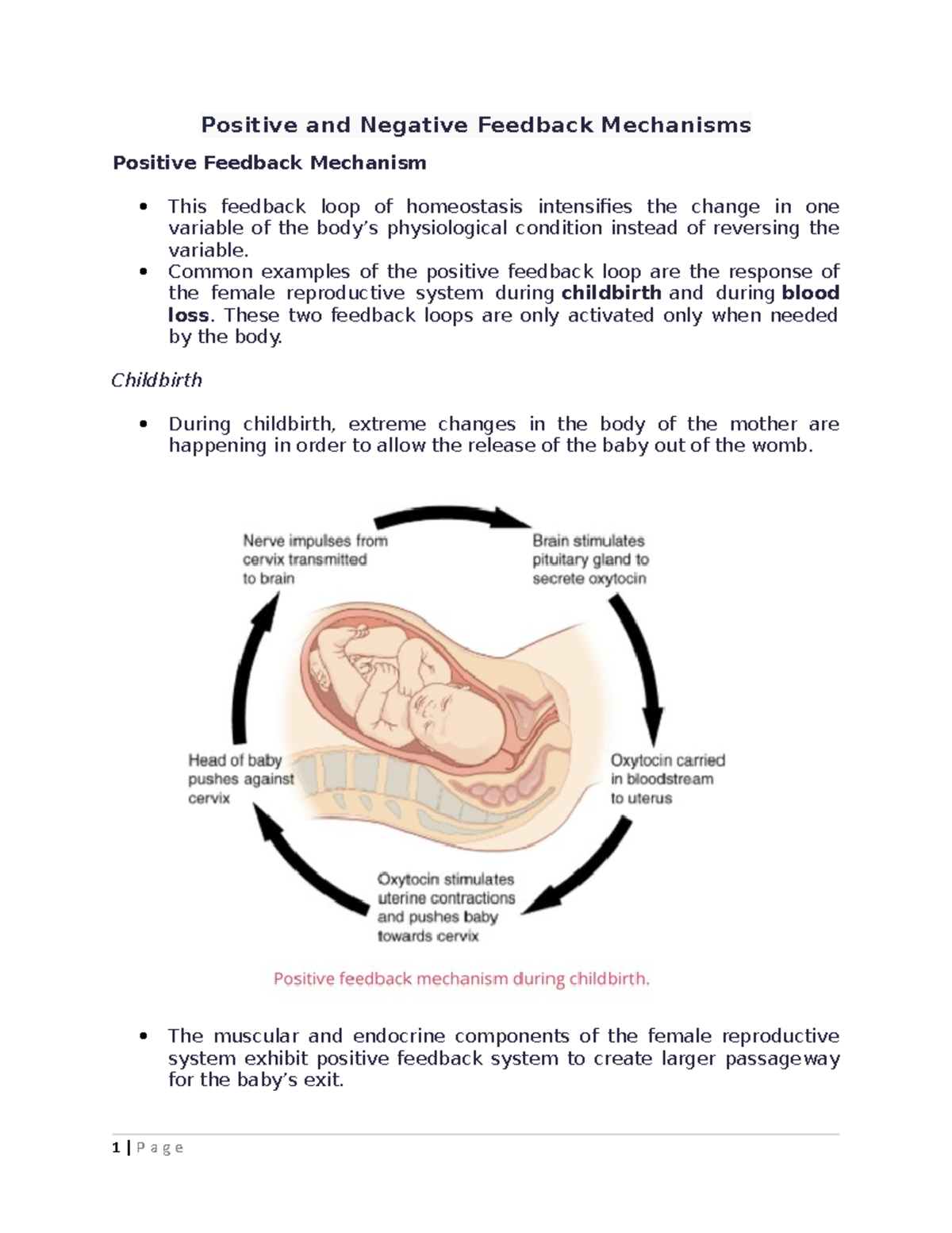 homeostasis-positive-negative-feedback-mechanisms-anatomy-physiology