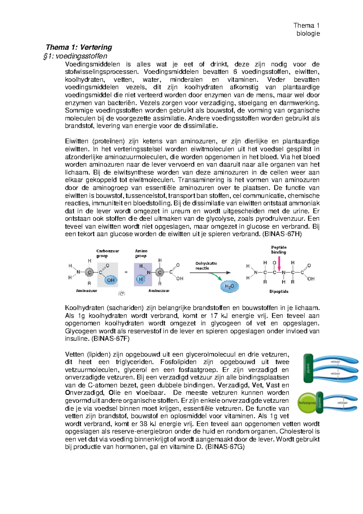 Samenvatting Biologie - Biologie Thema 1: Vertering §1: Voedingsstoffen ...