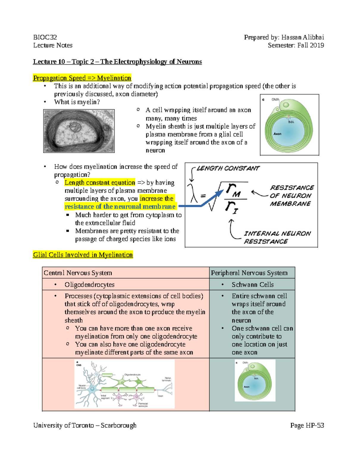 BIOC32 Lecture 10 - Lecture Notes Semester: Fall 2019 Lecture 10 ...