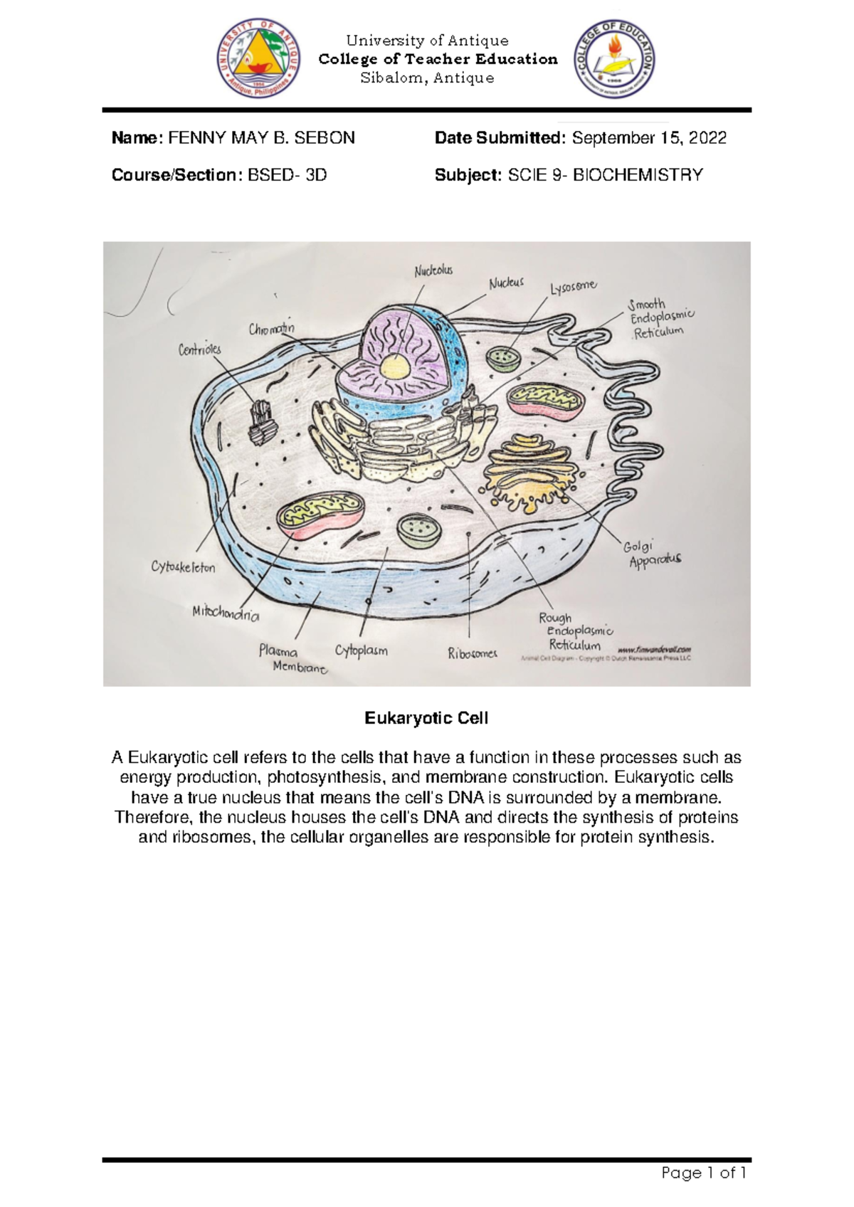 Eukaryotic Cell Structure - University of Antique College of Teacher ...