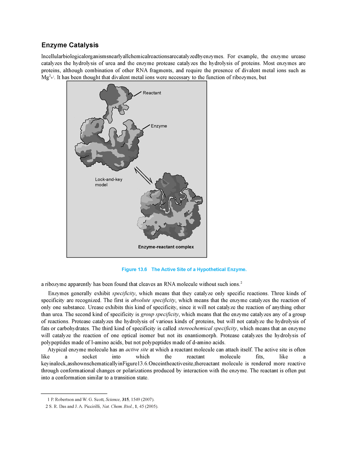 enzyme-catalysis-lecture-notes-review-and-answers-enzyme