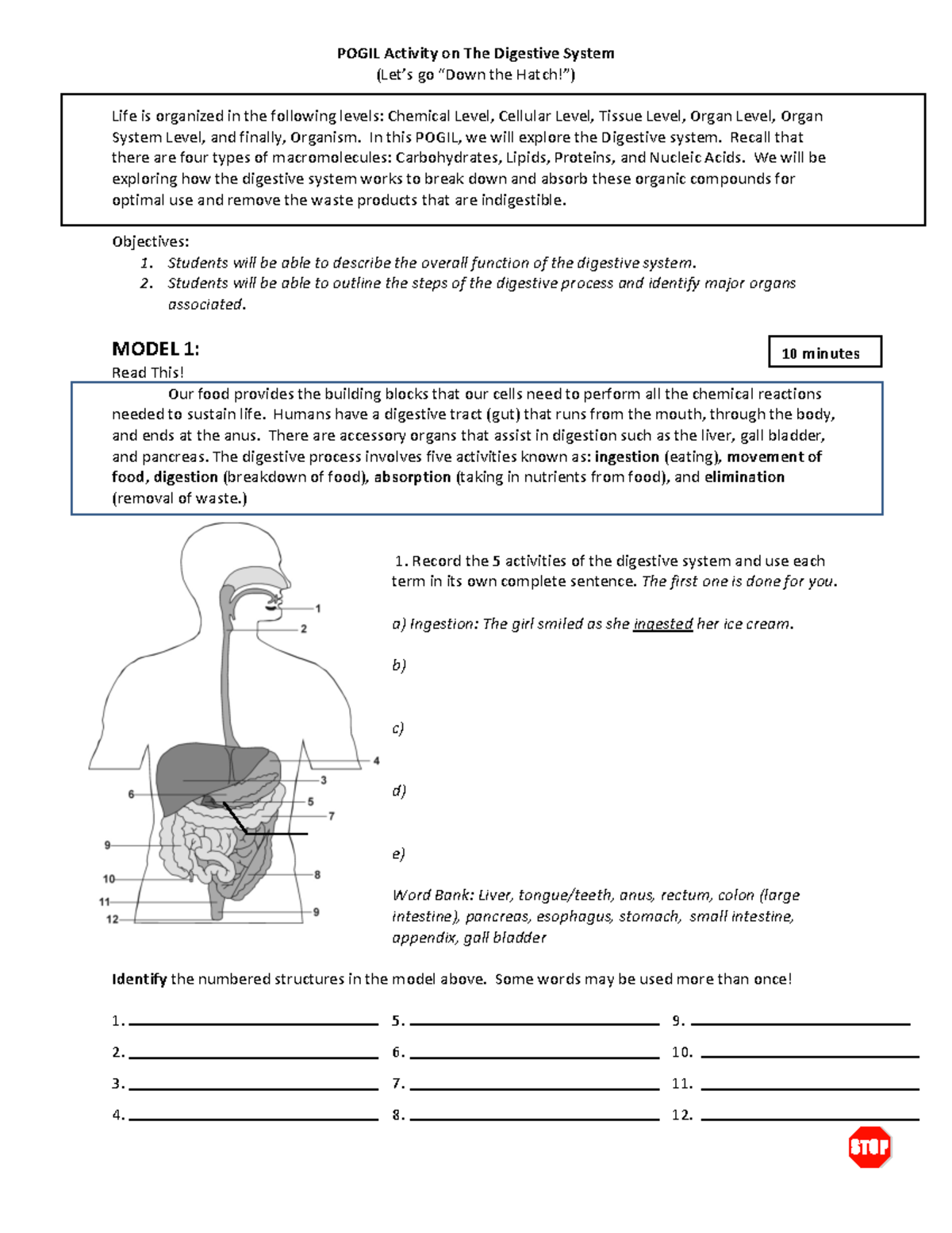 Digestive System Pogil - POGIL Activity on The Digestive System (Let’s ...