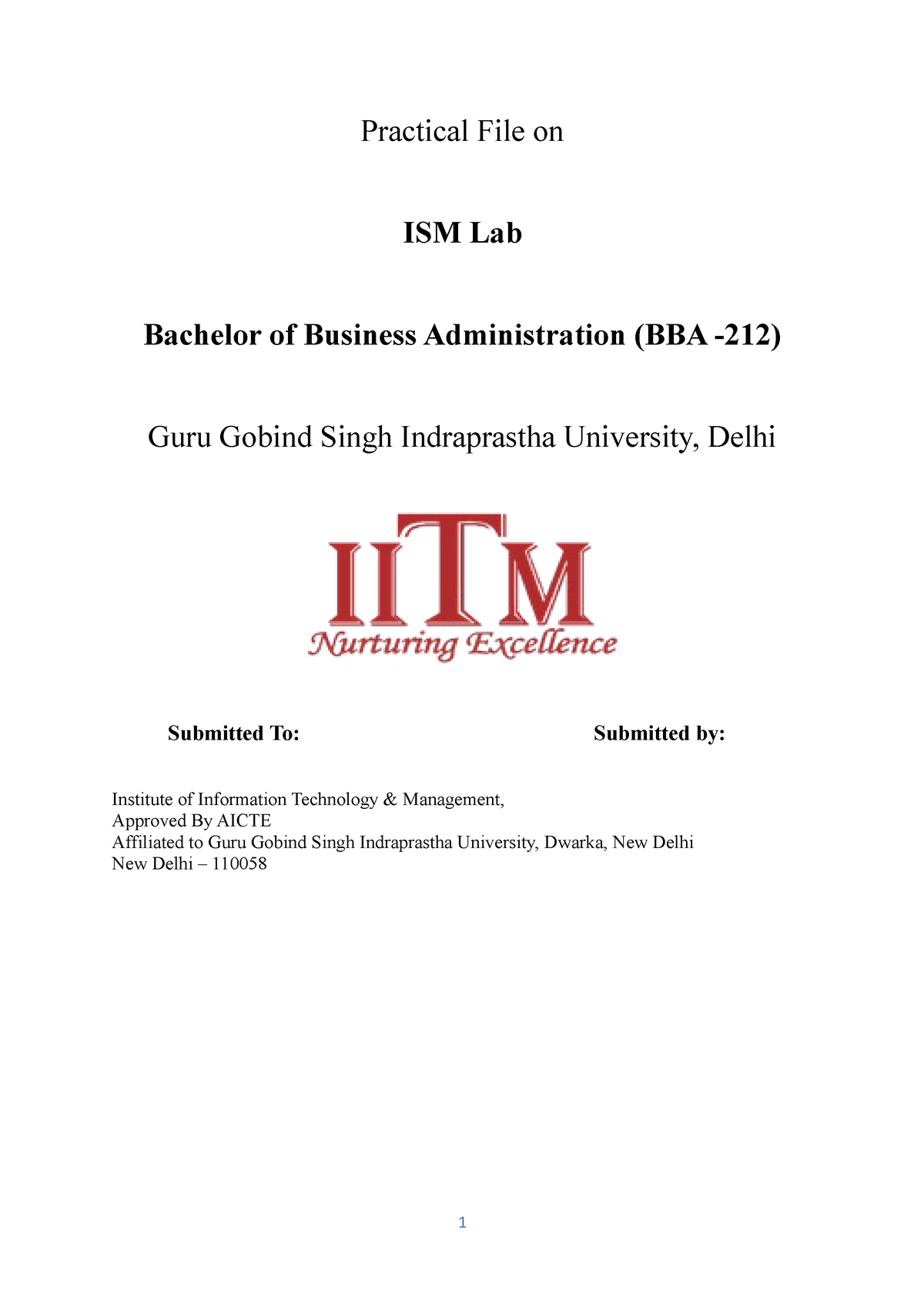 Lab - NOTHING - Practical File On ISM Lab Bachelor Of Business ...