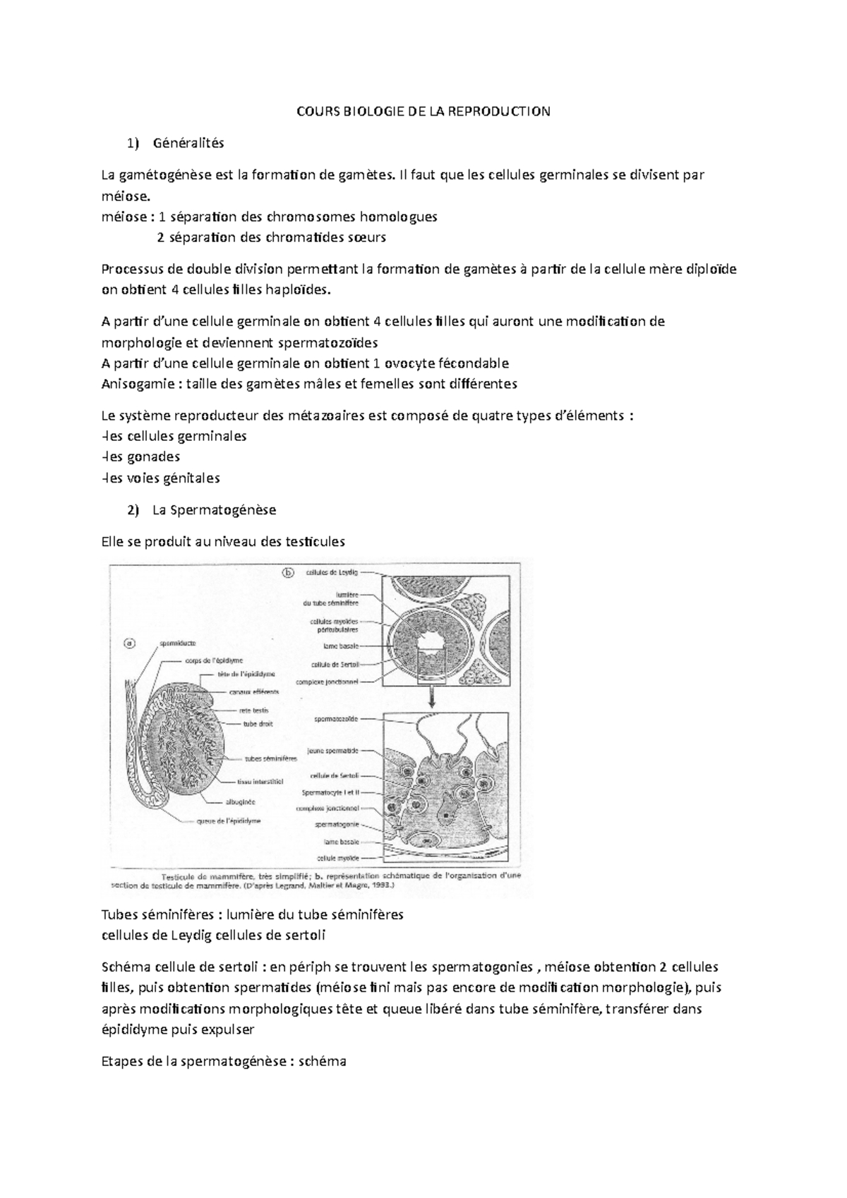 Biologie De La Reproduction Tours – JCGDPK