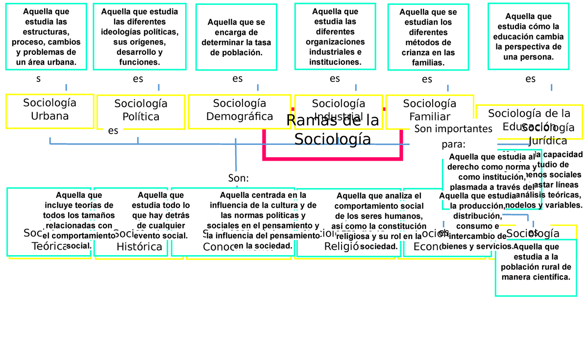 Ramas DE LA Sociologia - Aquella que estudia cómo la educación cambia