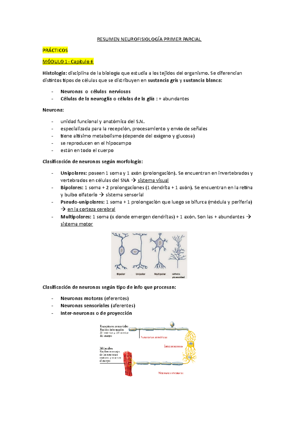 Resumen Neurofisiología Primer Parcial - RESUMEN NEUROFISIOLOGÍA PRIMER ...