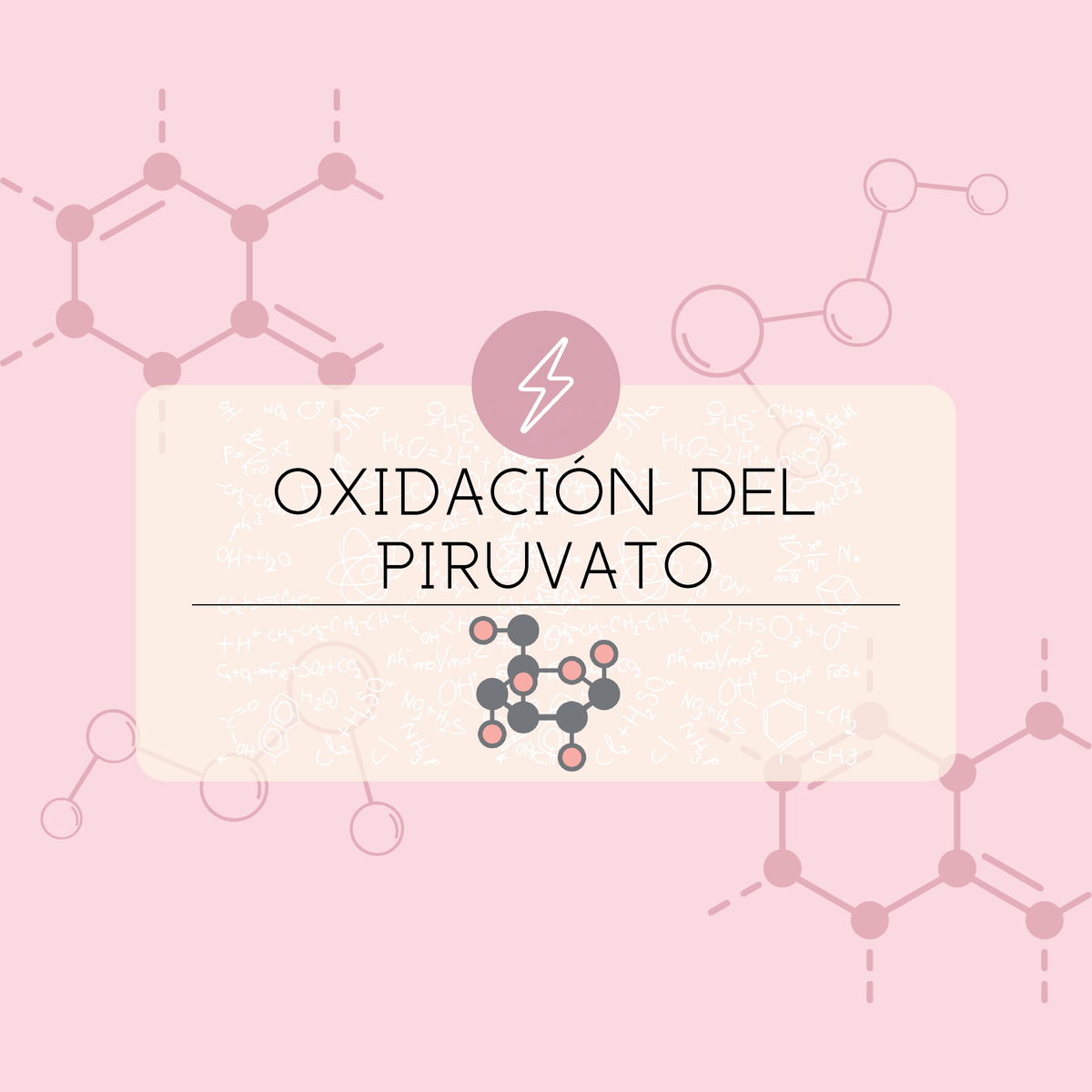 Oxidacion Del Piruvato Oxidaci N Del Piruvato Complejo Pdh E E E Ciclo De Krebs Acetil