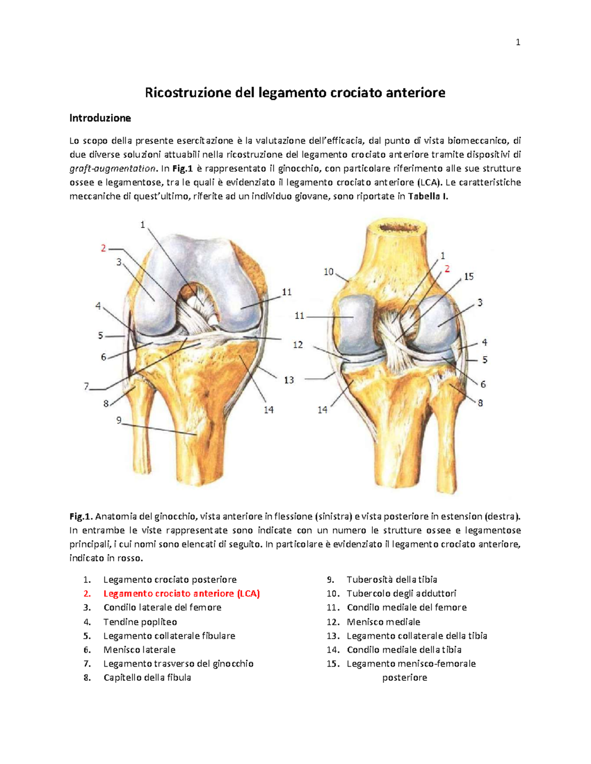 05 Riparazione LCA testo - Ricostruzione del legamento crociato ...
