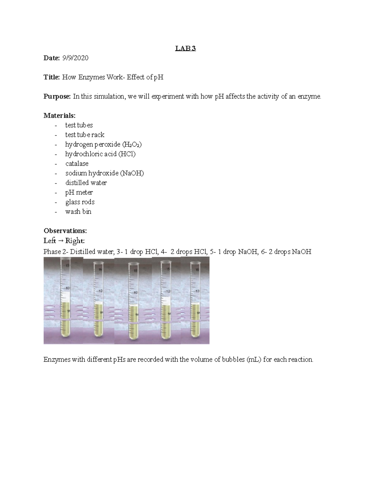 How Enzymes Work Effect of p H LAB 3 Date 9/9/ Title How Enzymes
