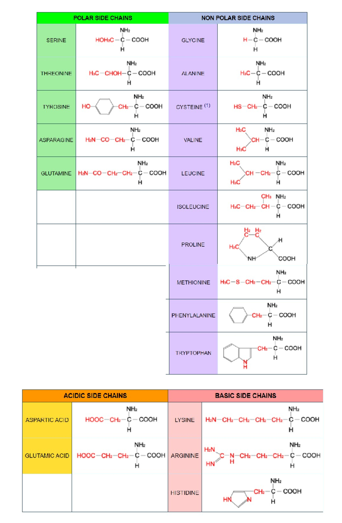 Biochem lab - biochm - BS Pharmacy - Studocu