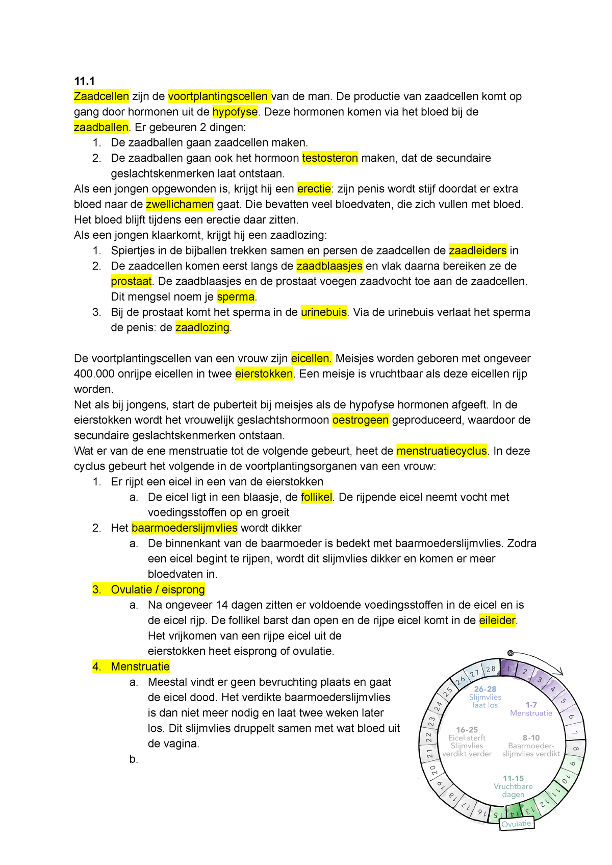 Biologie samenvatting H11 - 11