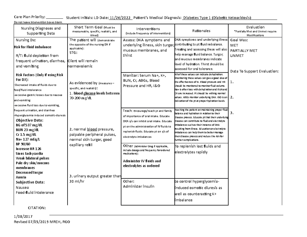 case-study-careplan-care-plan-priority-student-initials-ld-date-11