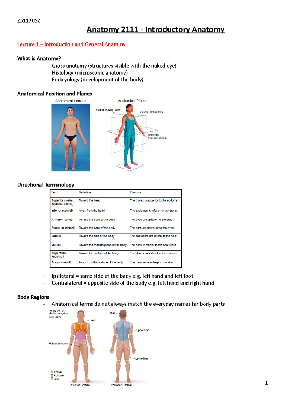 Anatomy 2111 Notes - Z5117052 Anatomy 2111 - Introductory Anatomy ...