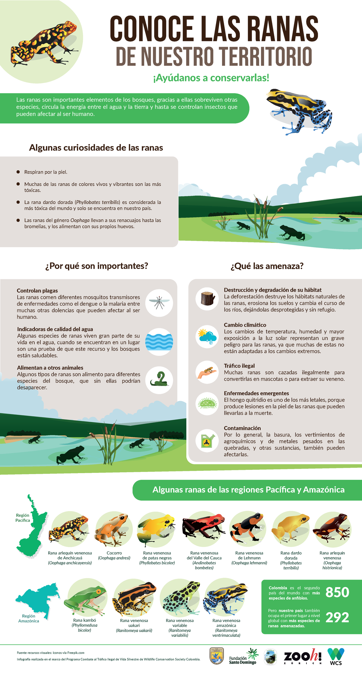 530164817 202012 10 Infografia Anfibios A4 - ¿Qué las amenaza? CONOCE ...