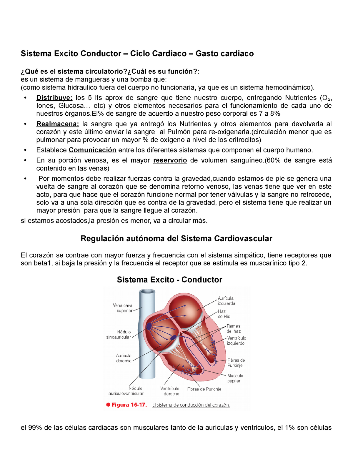 Ppt 14 Fisio Apuntes De Sistema Cardiaco Sistema Excito Conductor Ciclo Cardiaco Gasto