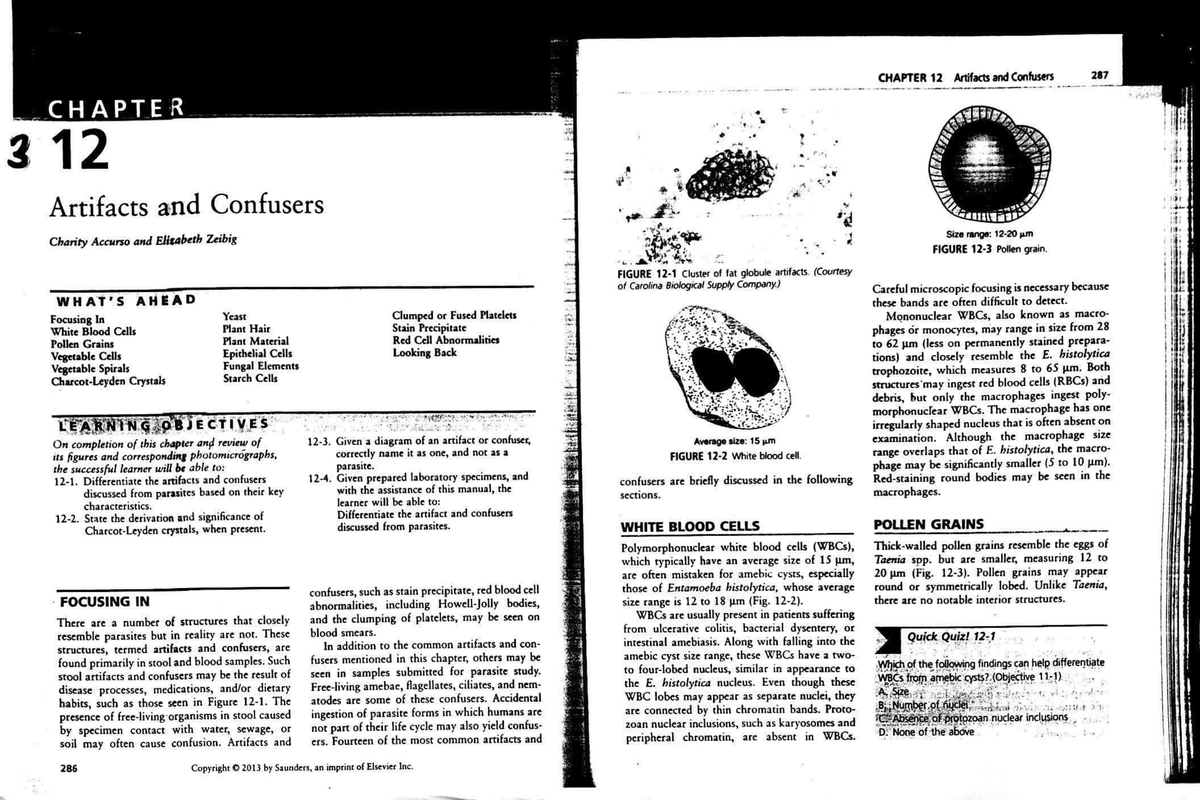 Artifacts-and-confusers compress - Medical technologist - Studocu