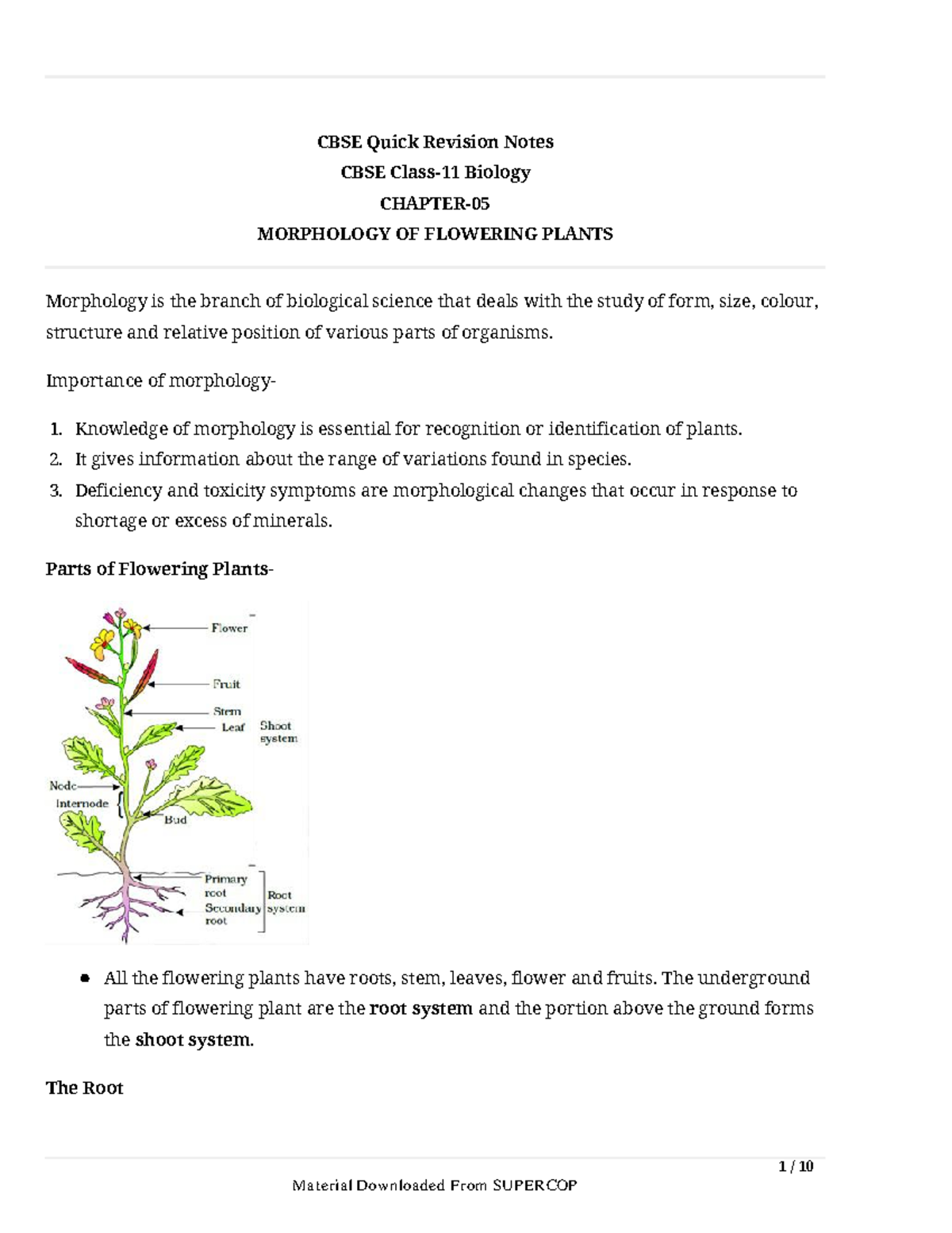 11th Biology Cap 6 1 / 10 CBSE Quick Revision Notes CBSE Class11 Biology CHAPTER MORPHOLOGY