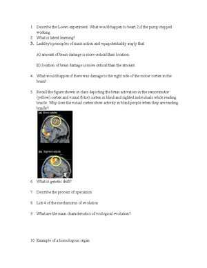 NE 101 Lecture 4 Compiled Notes - Neuronal Physiology I - Brain is like ...