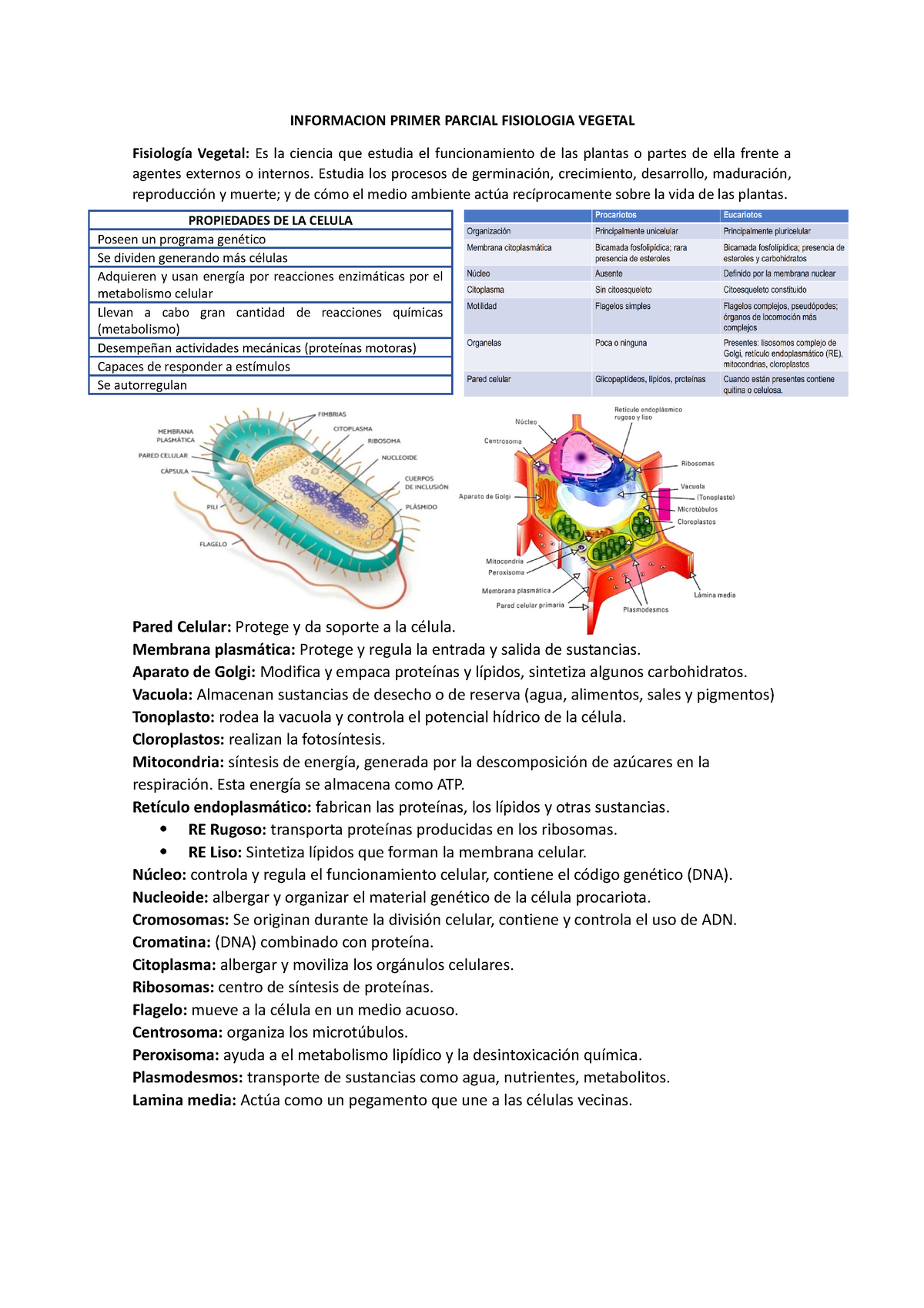 Informacion Parcial 1 Fisiologia Vegetal - INFORMACION PRIMER PARCIAL ...