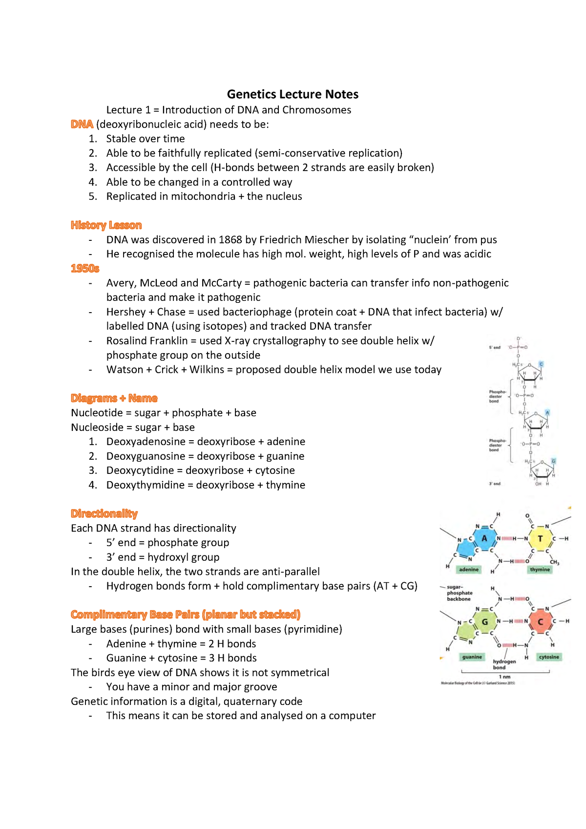 BSc Biochemistry Genetics Notes And DNA Synthesis - Genetics Lecture ...