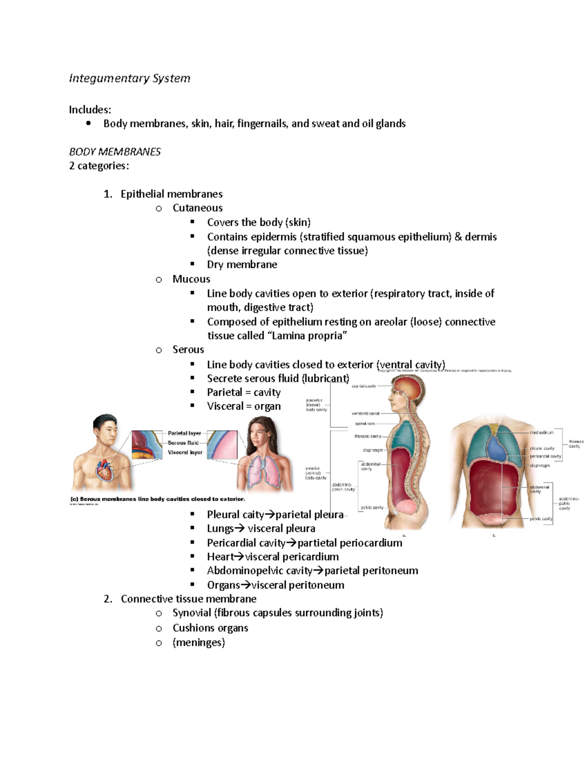 Anat week 5&6 winter 2023 - Integumentary System Includes: Body ...