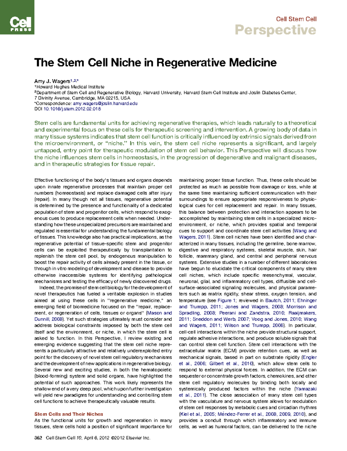 3 The Stem Cell Niche in Regenerative Medicine - Perspective The Stem ...